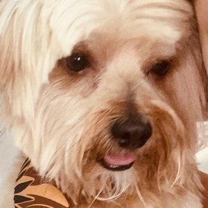 Meet your Posher, Natalie